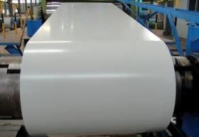 Prepainted steel coil and sheet